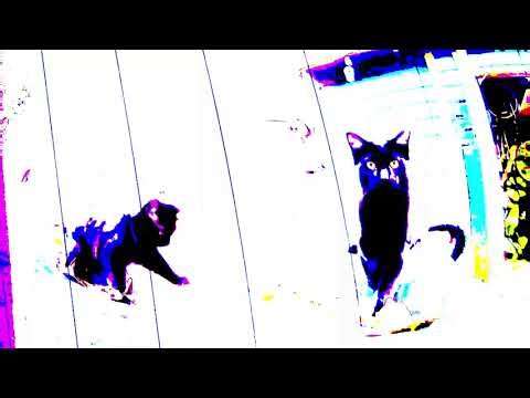 Full Movement Number 8 - Behringer Neutron/Akai MPC Live 2