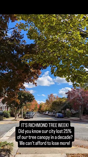 IT'S RICHMOND TREE WEEK! Did you know our city lost 25% of our tree canopy in a decade? We can't afford to lose more! Let's work to protect our canopy and soil. #RVA @rvagreen2050 #RVAgreen | RVA Design Coalition