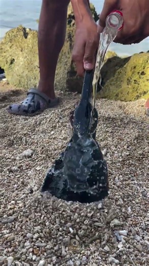"He Pulled This Creature Straight Out of Sand 😳"