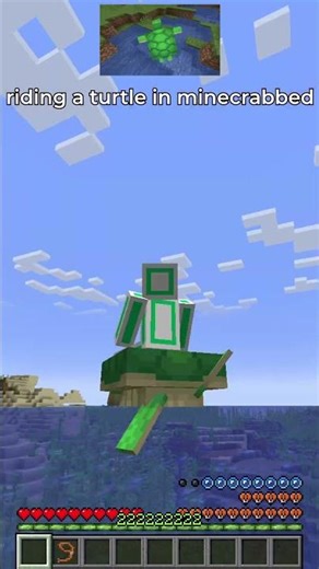 flying turtle in minecraft 🐢💨🤯