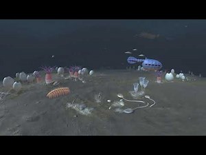 First Animals - Cambrian ocean 360 scene