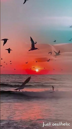 “Life’s Truth in One Song — Baanigondu Elle Ellide 🌿🎶”