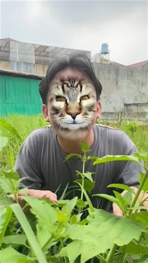 ASMR AMERICA'SIGINAL DUBBLE BUBBLE GUM ☺️😆(3 FRUIT FLAVORS) AND...