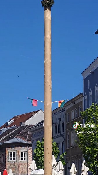 Wels Marketing on TikTok
