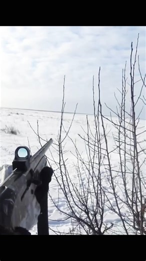 Long Distance Rabbit Hunting Shot” #chase #hunting #airsoft rabbithunting