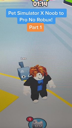 Pet Simulator X Noob to Pro Guide | Ultimate Tips & Tricks