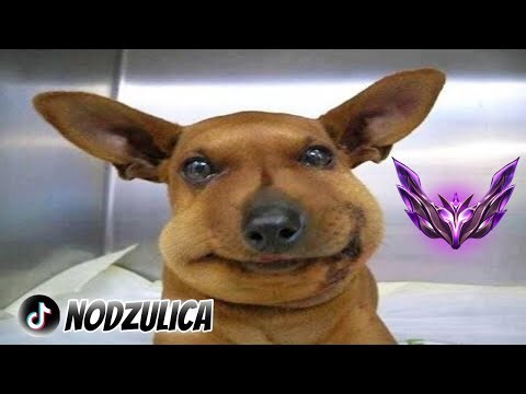 🔴 Jos uvek sam naduven, ne dirajte meeee // tt: @Nodzulica⚡