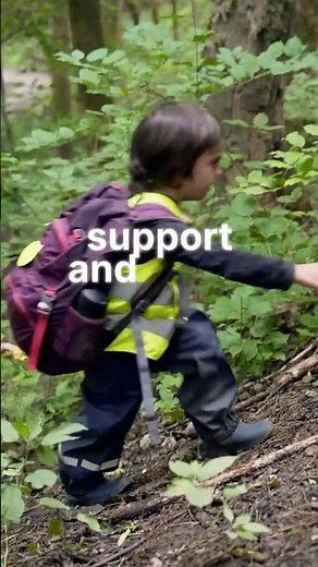 Trees That Communicate Underground | The Hidden Network of Forests