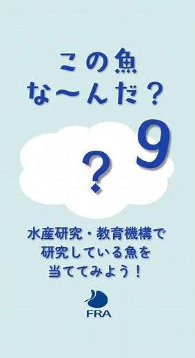 この魚な～んだ？（9） #釣り #水産研究・教育機構