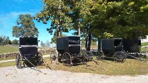 Wow it's a gorgeous day!! Outside Troyer's Buggy shop south of Fredericksburg Ohio. Still much green on the trees. Getting eager to see fall color. | AmishLeben