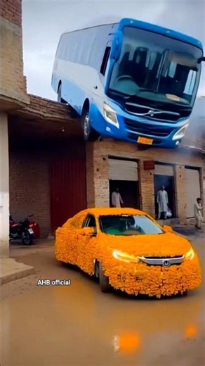 bus vs car