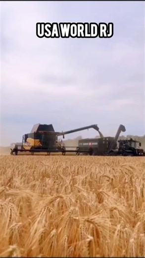 Harvaster Machine Harvesting crops in the field #usatractor #americanfarming #harvestermachine