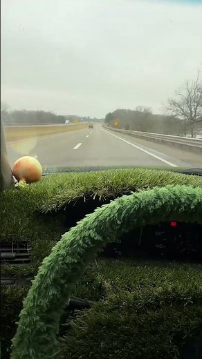 What eats grass?
