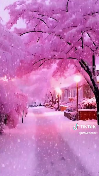 zswomrr (@zswomrr)’s videos with original sound - zswomrr