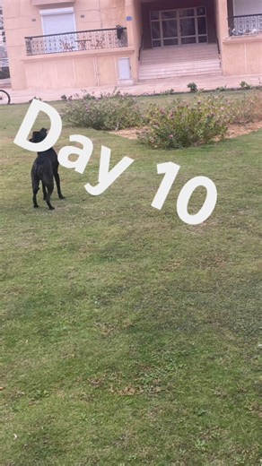 ‏#coding #agency #freelance #programming