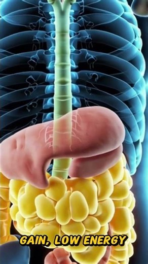 This Sugar Habit Is Destroying Your Body ⚠️#youtubeshorts#pov