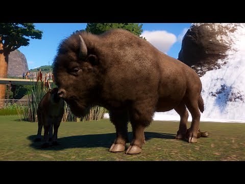 Planet Zoo - American Bison Gameplay (PC HD) [1080p60FPS]