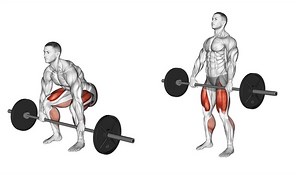 Agachamento Terra: Para que serve, como fazer e dicas