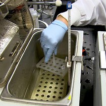 Video: G2-seq: A High Throughput Sequencing-based Technique for Identifying Late Replicating Regions of the Genome