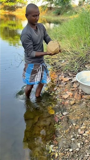 Day 104 மீன் தீவனம் 🐠 மீன் வளர்ப்பு முறை 120 days challenge #shortvideo #fish #fishfood #fishing