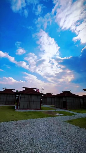 Sede Campestre de Ichiraku Ramen - Experiencia Única en Bogotá