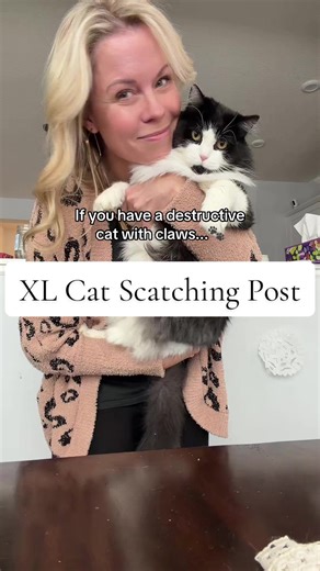 XL Cat Scratching Post Reduces Damage to Furniture