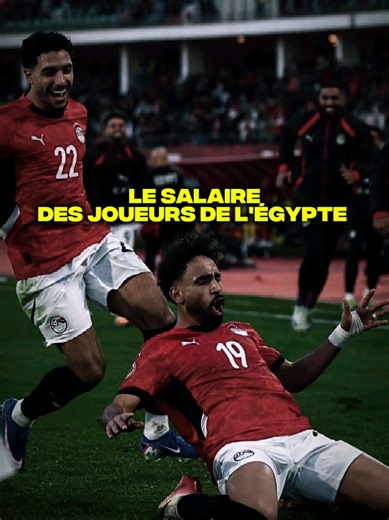 Le salaire mensuel des joueurs de l’equipe de l’egypte Le salaire mensuel des joueurs de l’équipe de Égypt Football National Team Le salaire dans le Football / Foot L’argent dans le sport Football Français / Football/ Football actu #egypte #can2025 #salaire #can #footballtiktok
