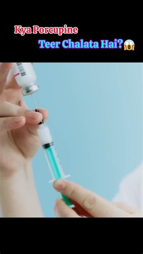 Porcupines Don’t Shoot Quills 😮 #amazing #fact #amazing #knowledge #viral