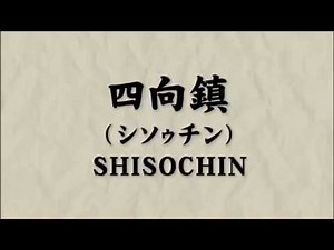 Shisochin Kata & Bunkai