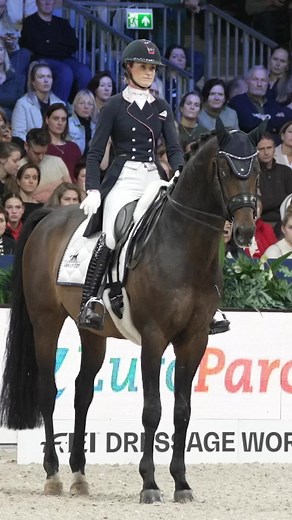 Dinja van Liere and Hermes NOP were untouchable in Amsterdam! 🤩 Last weekend the dynamic Dutch duo secured their second FEI Dressage World Cup™ win for the season on home soil ! 🇳🇱What a dream team! 💕#PursuitOfPerfection | FEI Dressage