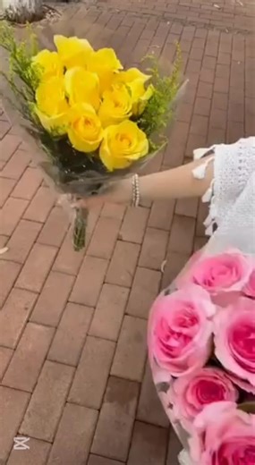 高冷的狗屎官宣 | 依媛素材圈推荐