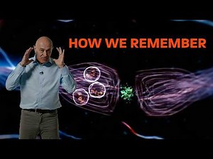 New clues to memory - The 2026 Kavli Prize in Neuroscience explained