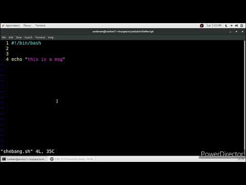 what is #!/bin/bash | what is shebang line
