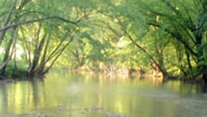 Mission Appalachia: The Story of Red Bird | KET