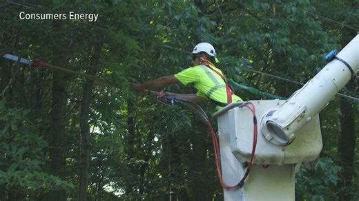 Consumer's Energy plans to cut 7,000 miles of trees across Michigan service area