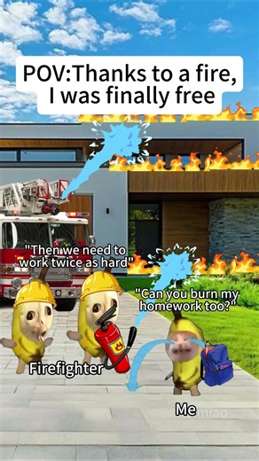 CAT MEMES🐱Thanks to a fire, I was finally free #catmemes #memes #funnymemes #funny #relationship