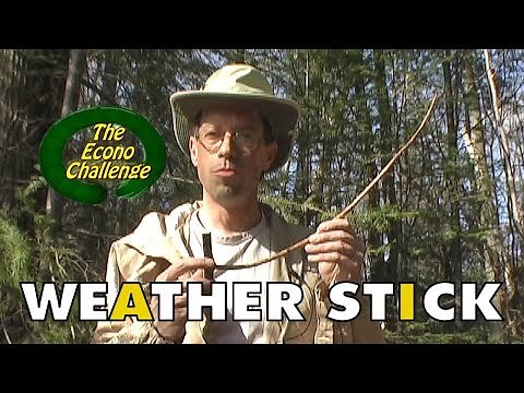 Weather Stick - Forecast The Weather Using A Wood Stick
