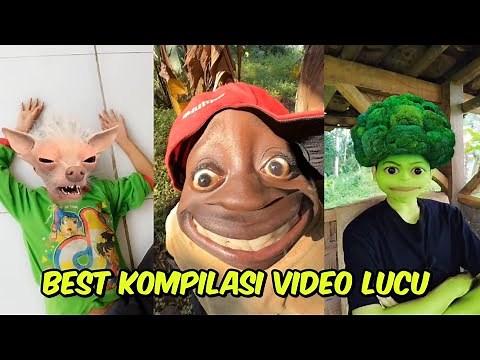 Compilation of the latest funny videos that will make you laugh out loud #funny