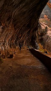 Weeping rock a quarter mile hike with and incredible view located on the bus stop 7. Get on the visitor center shuttle and they have 9 stops 1-9 takes 45 minutes to reach the end. Incredible view! #zionnationalpark #zionconcierge #utah #travel #adventure | Zion Concierge