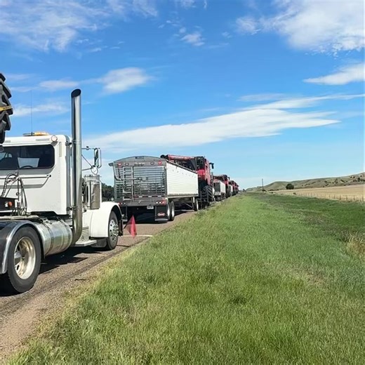🇺🇸Montana - North Dakota - 500 Miles 🇺🇸 Our last stop of the 2,000 mile harvest, With over 20 of us in convoy grain carts, combines, trucks, campers etc it can often take us longer to arrive anywhere than normal. We encountered road works, rough roads, native villages loose horses on the road, and much more. You can follow me on my journey as I show you the highs and lows of a custom harvest crew on my YouTube channel on the link below or search Berkshire farm girl. https://youtube.com/playl