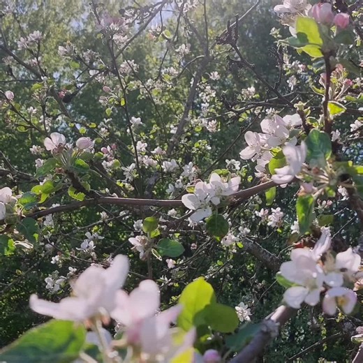 Broken Dance Moves You Need to See