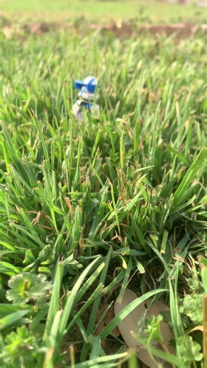 Lego photograph pt 4 #shorts #lego #legostarwars #toyphotography #clonewars