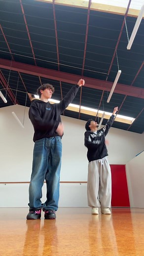 Dynamic Duo Dance: Mesmerizing Moves and Synchronized Steps!