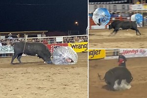 Horrifying moment bull bounces woman like beachball during bubble race