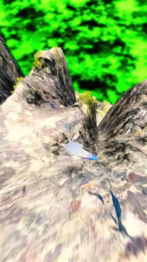 Cars vs Giant Lava Pit–BeamNG.drive 117 #beamng #shorts #beamngdrive #automobile #usa #car #india