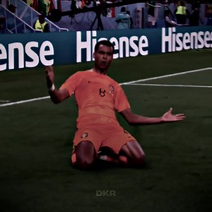 Netherlands vs Tunisia World Cup: Match Preview Today