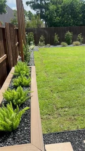 Real backyard transformation