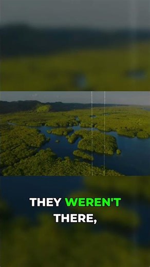 The Amazonian Paradox: Civilization Hidden in Plain Sight