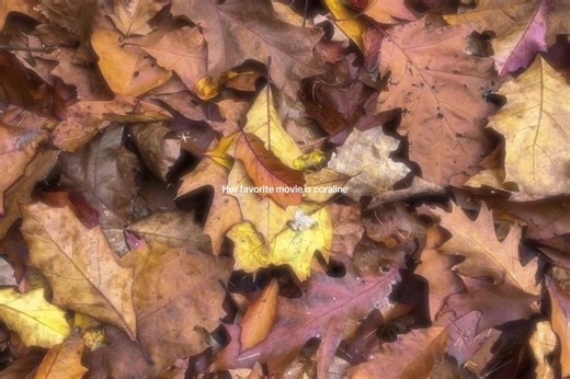 Explore the World of Coraline: A Movie Review