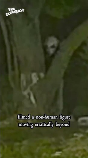 Mechanic Claims Alien Visit Caught on Camera in Mexico 🇲🇽👽 #Alien #UFO #AlienSighting